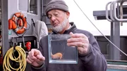 Dr. Claude De Broyer, belgischer Spezialist für antarktische Fauna, zeigt einen Tiefsee-Amphipoden. Diese winzigen Krebstiere erreichen in der südlichen Tiefsee relativ enorme Maße. Dr. Claude De Broyer, belgischer Spezialist für antarktische Fauna, zeigt einen Tiefsee-Amphipoden. Diese winzigen Krebstiere erreichen in der südlichen Tiefsee relativ enorme Maße.