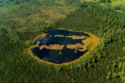 Unsere Moore liegen wie Inseln in unserer Kulturlandschaft. Letzte Reste einer Natur, die vor 10.000 Jahren weite Fl&auml;chen Europas pr&auml;gte.