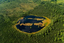 Unsere Moore liegen wie Inseln in unserer Kulturlandschaft. Letzte Reste einer Natur, die vor 10.000 Jahren weite Fl&auml;chen Europas pr&auml;gte.