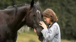 Hengst Ostwind ist traumatisiert und frisst nicht. Kann Ari (Luna Paiano) ihn retten?