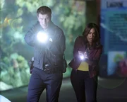 Nolan (Nathan Fillion) und Clark (Niecy Nash) folgen neben dem FBI einer eigenen Spur und kommen dem T&auml;ter gef&auml;hrlich nah.