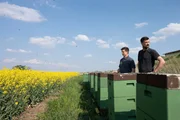 Landwirt Phillip Krainbring (r.) und ein Imker (l.) aus der Region kontrollieren die Bienenst&ouml;cke, die je nach Saison am Rand Ackerrand aufgestellt werden. Bei dem Projekt handelt es sich um einen Beitrag zum Bienenschutz.