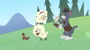Jerry und Tom