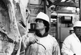 Paulie (Burt Young, r.) beobachtet besorgt Rockys (Sylvester Stallone, l.) Entwicklung, der nach der knappen Niederlage im Weltmeisterschaftskampf zur&uuml;ck zu seiner alten Arbeit kommt.