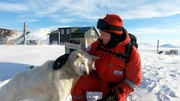 Treue Begleiter: Mit Schlittenhunden bricht der Astronaut in die Weite der Gletscher auf. Die Huskies wissen der Kälte verlässlich zu trotzen. Treue Begleiter: Mit Schlittenhunden bricht der Astronaut in die Weite der Gletscher auf. Die Huskies wissen der Kälte verlässlich zu trotzen.