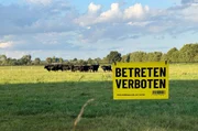 Tatort Bauernhof: Wie kann man Weiderinder vor Diebstahl schützen? Aus dieser Herde in Scharnebeck (Niedersachsen) wurden über Nacht vier der wertvollen Tiere geklaut.