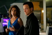 Detective Stella Bonasera (Melina Kanakaredes) und Detective Mac Taylor (Gary Sinise) wollen herausfinden, wer das Mitglied eines gewieften Einbrecher-Duos umgebracht hat. Detective Stella Bonasera (Melina Kanakaredes) und Detective Mac Taylor (Gary Sinise) wollen herausfinden, wer das Mitglied eines gewieften Einbrecher-Duos umgebracht hat.