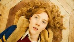 Susie Salmon (Saoirse Ronan) wurde nur 14 Jahre alt. Sie wurde ermordet, dennoch meint ihr kleiner Bruder Buckley, sie gesehen zu haben? Und wieso ist sich ihr Vater so sicher, ihre Anwesenheit zu sp&uuml;ren?