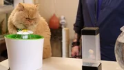 Jackson watching Mr. Weasley drinking water.