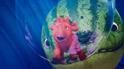 Das Abenteuer unter Wasser mit dem Melonensuchus findet Ginger einfach nur großartig.