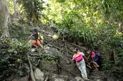 Diese Kinder aus Madibago im S&uuml;dwesten der Philippinen haben einen der au&szlig;ergew&ouml;hnlichsten und gef&auml;hrlichsten Schulwege der Welt. Denn um ihre Schule zu erreichen; m&uuml;ssen schon die Siebenj&auml;hrigen eine Steilwand mitten im Dschungel erklimmen. Lediglich ein paar Wurzeln geben den Sch&uuml;lern etwas Halt.