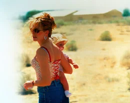 "Erin Brockovich" - Artwork