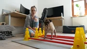 Training f&uuml;r ein schmerzfreieres Leben: Daniela Raila hat sich bei der Physiotherapie einige &Uuml;bungen f&uuml;r ihren Mops abgeschaut.