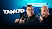 Nacho Average Fish Tanks Nacho Average Fish Tanks