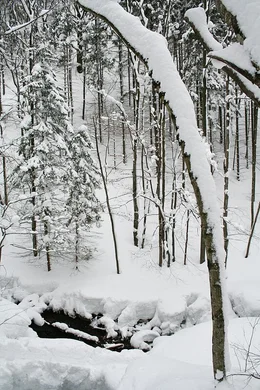 . Winter im Pielachtal.