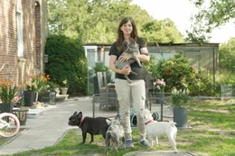 Jasmin Scholz-Helms z&uuml;chtet Franz&ouml;sische Bulldoggen, die gr&ouml;&szlig;er sind und dank l&auml;ngerer Schnauzen freier atmen k&ouml;nnen.