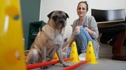 Training f&uuml;r ein schmerzfreieres Leben: Daniela Raila hat sich bei der Physiotherapie einige &Uuml;bungen f&uuml;r ihren Mops abgeschaut.