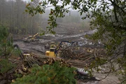 Breite Schuss von Logging-Maschinen bei der Arbeit