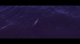 Maja Malecka (Agnieszka Grochowska) schwimmt fr&uuml;h morgens im Meer.