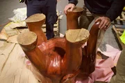 The bottom of the elephant table. The bottom of the elephant table.