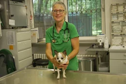 Tier&auml;rztin Urte Inkmann versorgt im Hamburger Tierheim Hunde verschiedenster Rassen, die aufgrund ihrer Zucht mit gesundheitlichen Problemen zu k&auml;mpfen haben.