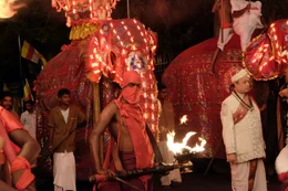 "Sakrale Elefanten in Sri Lanka", Eine eigenartige Mischung aus Erregung, gespannter Erwartung und religi&ouml;ser Ehrfurcht erfasst die letzte K&ouml;nigsstadt Sri Lankas, wenn ein Kanonenschuss die allabendliche Elefantenprozession er&ouml;ffnet. W&auml;hrend der zwei-w&ouml;chigen Esala Perahera im Juli und August wird Kandy wieder zur inoffiziellen Hauptstadt des Landes. Zumindest in kultureller und religi&ouml;ser Hinsicht. Esala hei&szlig;t Juli und Perahera Prozession. Die Elefanten-Umz&uuml;ge ziehen nicht nur Tausende Touristen an, sondern auch die politische Elite des Landes. Aber nur einem ganz besonders gro&szlig;en Elefantenbullen mit m&auml;chtigen Sto&szlig;z&auml;hnen wird die heiligste Reliquie Sri Lankas anvertraut: Der linke Eckzahn Siddharta Gautama Buddhas. Oder zumindest dessen Schatulle. Die Esala Perahera - oder Juli-Prozessionen - stehen aber auch im Zeichen der sogenannten "Buddhisierung" Sri Lankas. Dadurch wird versucht, die kulturelle Viefalt durch eine buddhistische Leitkultur zur&uuml;ckzudr&auml;ngen. Dieser buddhistische Nationalismus zeigt sich in der Verwendung bestimmter Symbole auch bei der Perahera. Deren Wurzeln liegen aber auch in hinduistischen Traditionen, die das K&ouml;nigtum in Sri Lanka &uuml;ber Jahrtausende gepr&auml;gt haben. W&auml;hrend die Perahera eigentlich das gemeinsame Erbe betonen sollte, sind auch die farbenpr&auml;chtigen Umz&uuml;ge von politisch aufgeladenen religi&ouml;sen und ethnischen Spannungen gezeichnet. Diese haben die j&uuml;ngere Geschichte Sri Lankas gepr&auml;gt und gerade in Kandy zu nationalistischen Ausschreitungen gegen muslimische Tamilen gef&uuml;hrt. Doch auch die &uuml;berwiegend hinduistischen Tamilen f&uuml;hlen sich von diesen Entwicklungen bedroht. Dazu kommt die wachsende Kritik von Tierschutzorganisationen an der Teilnahme von Zeremonialelefanten. Die von lokalen Medien erkl&auml;rte Elefantenkrise des buddhistischen Zentrums von Sri Lanka stellt eine weitere Herausforderung f&uuml;r den Sri Dalada Maligawa, den ehrw&uuml;rdigen Tempel des Zahns, dar. Ein Film von Werner Zips  SENDUNG: 3sat - SA - 15.02.2020 - 15:00 UHR. - Veroeffentlichung fuer Pressezwecke honorarfrei ausschliesslich im Zusammenhang mit oben genannter Sendung oder Veranstaltung des ORF bei Urhebernennung.