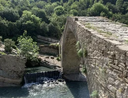 Die Langarica-Br&uuml;cke im Vjosa-Gebiet, ein wildes Naturparadies