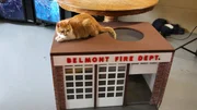 Flame is on top of a cat house.