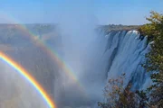 Die Gischt der Wassermassen und die zuverl&auml;ssig scheinende Sonne lassen an den Victoriaf&auml;llen regelm&auml;&szlig;ig Regenb&ouml;gen entstehen.