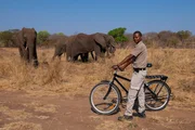 Ranger versuchen die Konflikte zwischen Wildtieren und der Dorfbev&ouml;lkerung m&ouml;glichst gering zu halten. Mit Fahrr&auml;dern schauen sie jeden Tag, ob sich Elefanten zu nah an die Felder heranwagen.