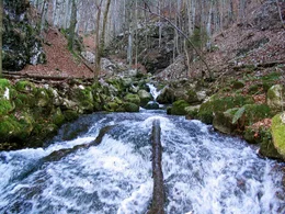Quellgebiet.