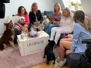 Die Kandidatinnen mit ihren Hunden v.l.: Fiona, Jennifer, Angie, Iris und Vanessa Die Kandidatinnen mit ihren Hunden v.l.: Fiona, Jennifer, Angie, Iris und Vanessa