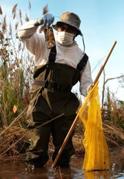 Nach dem Absturz des Valujet-Fluges 592 durchkämmen Taucher die Florida Everglades auf der Suche nach Hinweisen auf die Ursache, die dazu führte, dass die DC-9 kurz nach dem Start vom Miami International Airport am 11. Mai 1996 in Flammen aufging. Das Flugzeug ist in einem abgelegenen Teil der Florida Everglades abgestürzt. Die Rettungskräfte können die Absturzstelle nur mit einem Luftkissenboot erreichen, und der größte Teil des Wracks liegt unter dichtem Schlamm und ist von Sägegras umgeben. Die Retter müssen zunächst die beiden Black Boxes des Flugzeugs finden, um Hinweise auf die Ursache des heftigen Brandes an Bord zu finden, der das Flugzeug innerhalb weniger Minuten zum Absturz brachte. Nach dem Absturz des Valujet-Fluges 592 durchkämmen Taucher die Florida Everglades auf der Suche nach Hinweisen auf die Ursache, die dazu führte, dass die DC-9 kurz nach dem Start vom Miami International Airport am 11. Mai 1996 in Flammen aufging. Das Flugzeug ist in einem abgelegenen Teil der Florida Everglades abgestürzt. Die Rettungskräfte können die Absturzstelle nur mit einem Luftkissenboot erreichen, und der größte Teil des Wracks liegt unter dichtem Schlamm und ist von Sägegras umgeben. Die Retter müssen zunächst die beiden Black Boxes des Flugzeugs finden, um Hinweise auf die Ursache des heftigen Brandes an Bord zu finden, der das Flugzeug innerhalb weniger Minuten zum Absturz brachte.