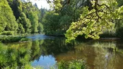 Die Ilz an der Halser Triftsperre.