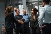Nikki Batista (Dania Ramirez, l.), Jason Grant (Scott Caan, 2.v.l.), Wayne Pascal (Alisha-Marie Ahamed, 2.v.r.), Mike Sherman (Ryan Broussard, r.)