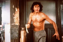 Nach einem misslungenem Experiment beginnt Seth Brundles (Jeff Goldblum) K&ouml;rperstruktur immer mehr der einer Fliege zu &auml;hneln. Ohne etwas dagegen tun zu k&ouml;nnen, durchlebt der Wissenschaftler eine entsetzliche Verwandlung in ein Insekt.