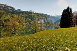 Fr&uuml;hlingswiese am Grundlsee.