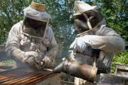 Vidal (re.) und Rogaciano (li.) haben neben den stachellosen Bienen auch 300 Bienenstöcke der Europäischen Biene. Da diese aber mit ihrem Stachel deutlich aggressiver reagieren, müssen sich Vater und Sohn Schutzkleidung anziehen.