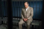 Raymond 'Red' Reddington (James Spader)