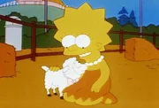 Lisa nimmt zärtlich ein Lämmchen in die Arme.
