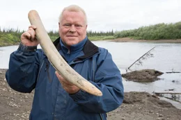 Mammut-Experte Dick Mol hat im Yukon Territory in Kanada einen Mammutsto&szlig;zahn gefunden.