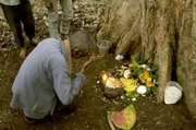 Auf dem Weg zur Honigjagd halten Chinasami und die anderen Männer für die "Pooja" an: ein traditionelles Gebet an die Waldgötter, die sie um Schutz bei diesem riskanten Unterfangen bitten.