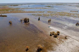 Das M&uuml;ndungsdelta des Mississippi