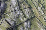 Auch der Mensch hat auf den Aran-Inseln seine Spuren hinterlassen: Neben Festungen und Hügelgräbern fallen besonders die im Schachbrettmuster angeordneten Trockensteinmauern ins Auge.