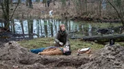 Der Hundezüchter Daniel Kahlke (Mirko Krecar) wird tot im Wald aufgefunden. Rechtsmedizinerin Helene Sturbeck (Katharina Blaschke) untersucht den Mann: Offenbar ist er brutal erschossen worden. Zudem sieht es so aus, als hat der Täter ihn vergraben wollen, dann aber aufgehört. Wer hat den Täter unterbrochen? Gibt es etwa einen Zeugen?