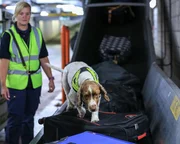 Olivia O'Connor (l.); Harvey (r.)