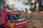 Die brasilianische Feuerwehr versucht, einen Großbrand im Nationalpark Emas unter Kontrolle zu bringen.