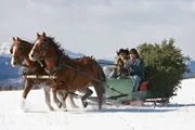 Amy (Amber Marshall) und Ty (Graham Wardle) haben den Weihnachtsbaum besorgt.