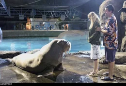 Lucy (Drew Barrymore), Henry (Adam Sandler)