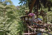 Mustafa erklimmt den hohen Baum, auf dem er seine Bienenstöcke zum Schutz vor Bären hält, um nach ihnen zu sehen.